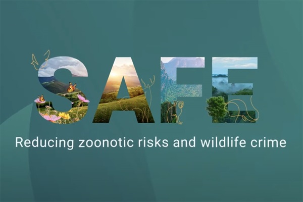 SAFE