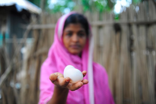 © FAO/Munir Uz Zaman © FAO/Munir Uz Zaman
