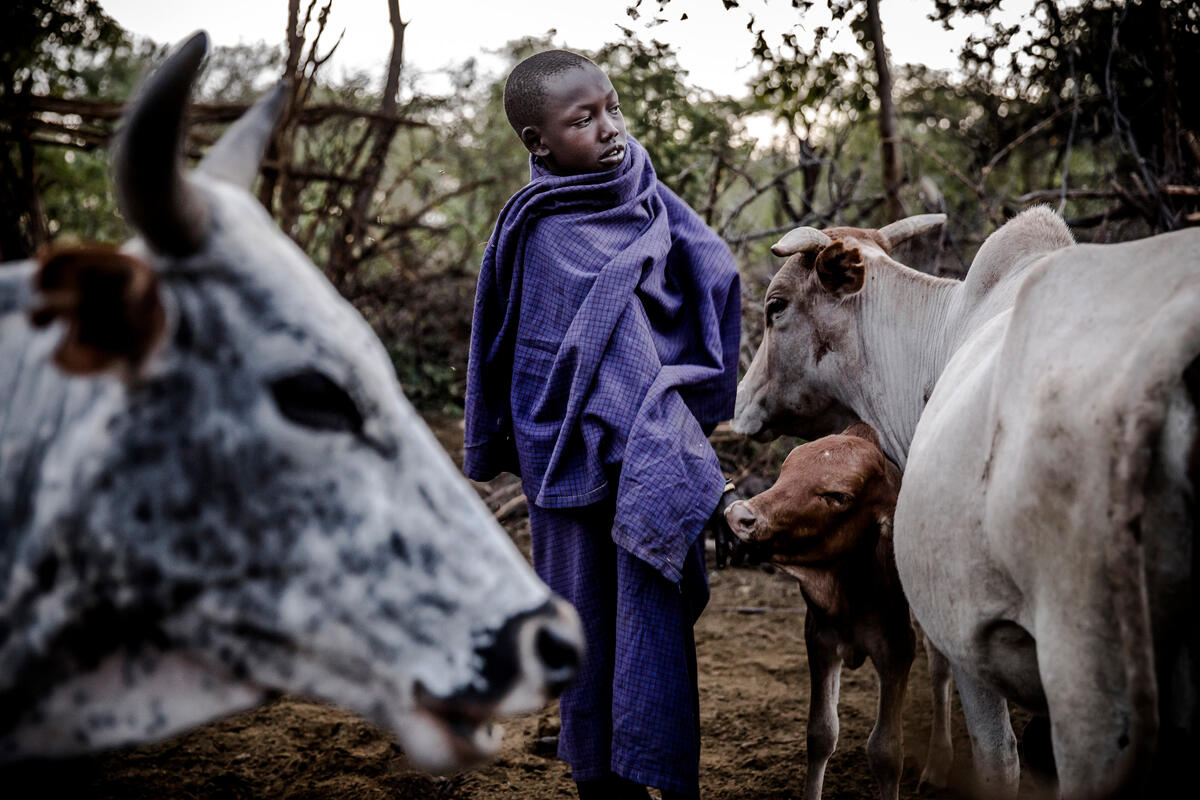 © FAO/K.Purevraqchaa