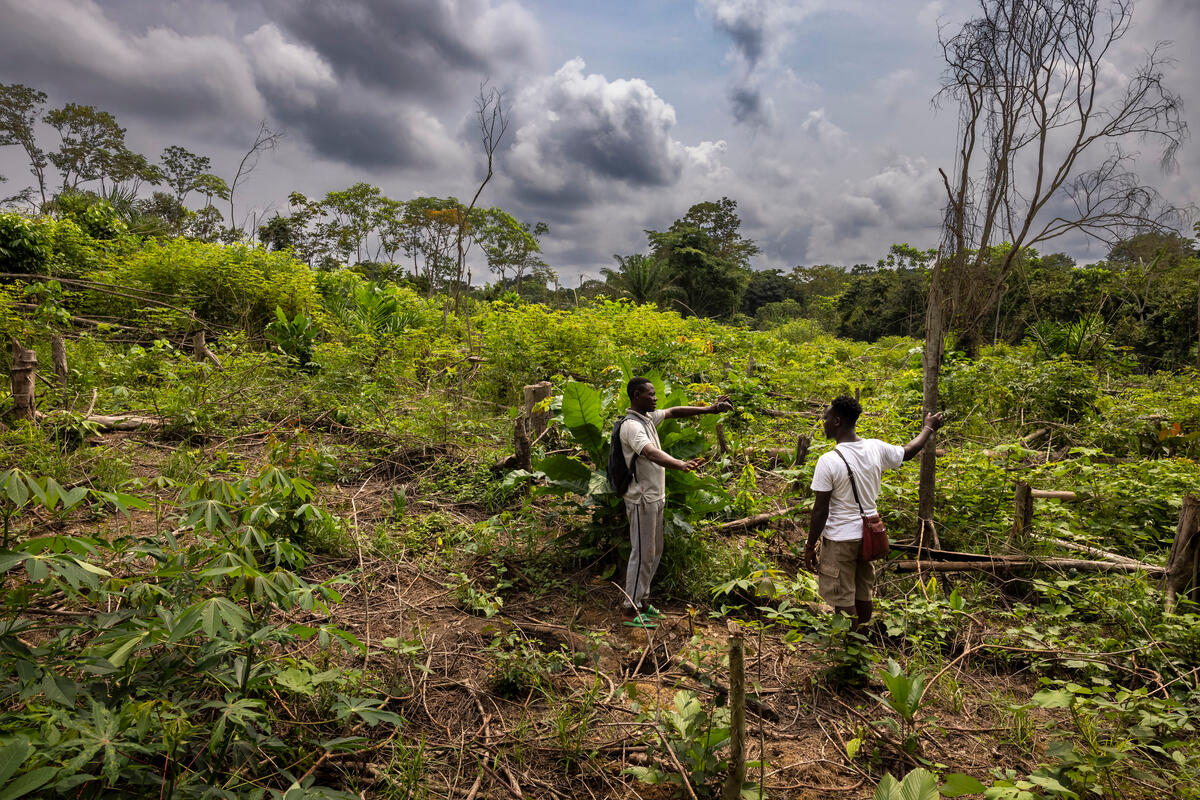 © Brent Stirton/Getty Images for FAO, CIRAD, CIFOR, WCS