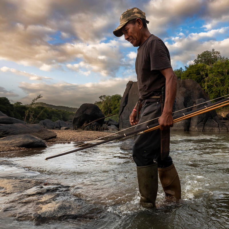 © Brent Stirton/Getty Images for FAO, CIRAD, CIFOR, WCS © Brent Stirton/Getty Images for FAO, CIRAD, CIFOR, WCS