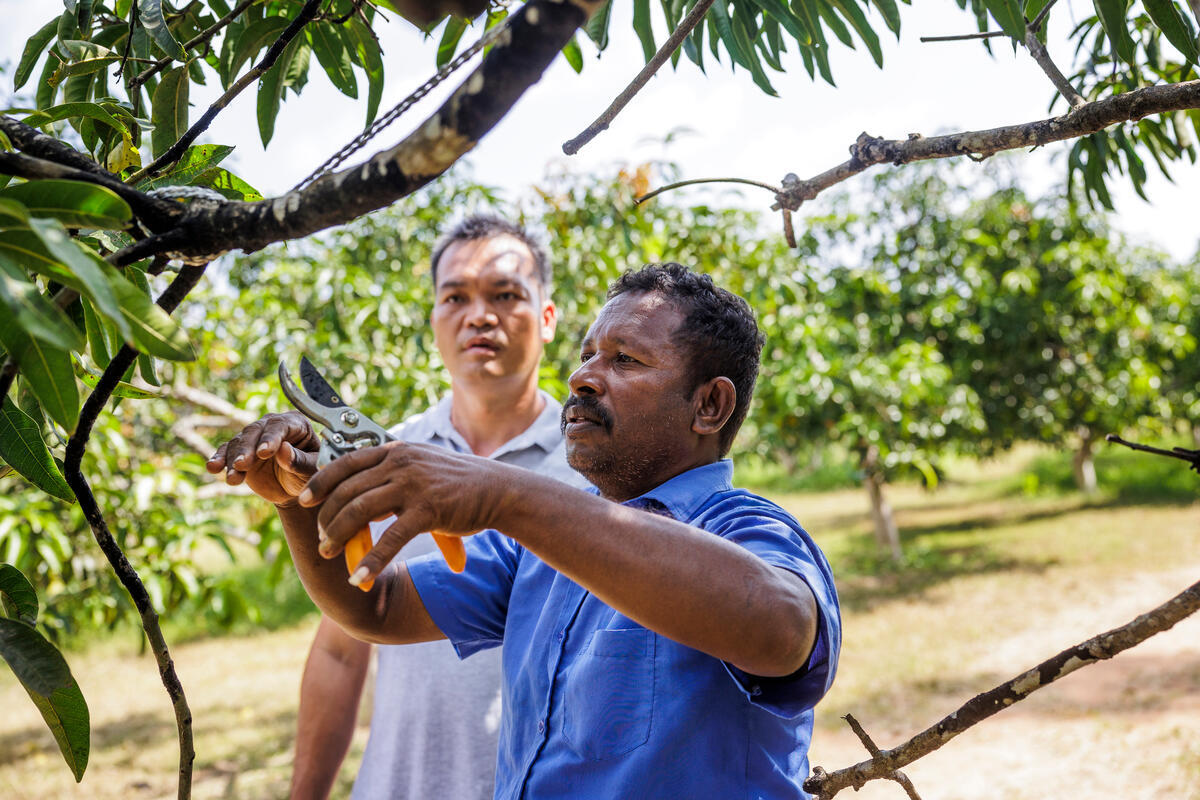 © FAO / David Blacker