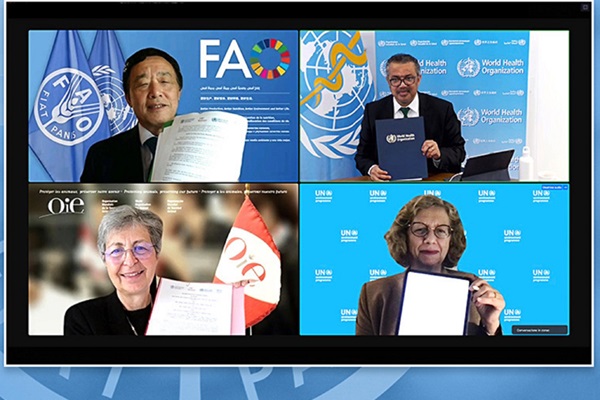 UN Environment Programme joins alliance to implement One Health approach