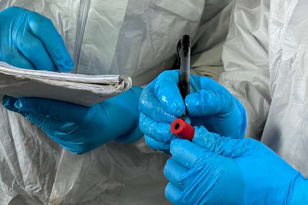 UN Quadripartite puts One Health into practice to equip experts across Europe