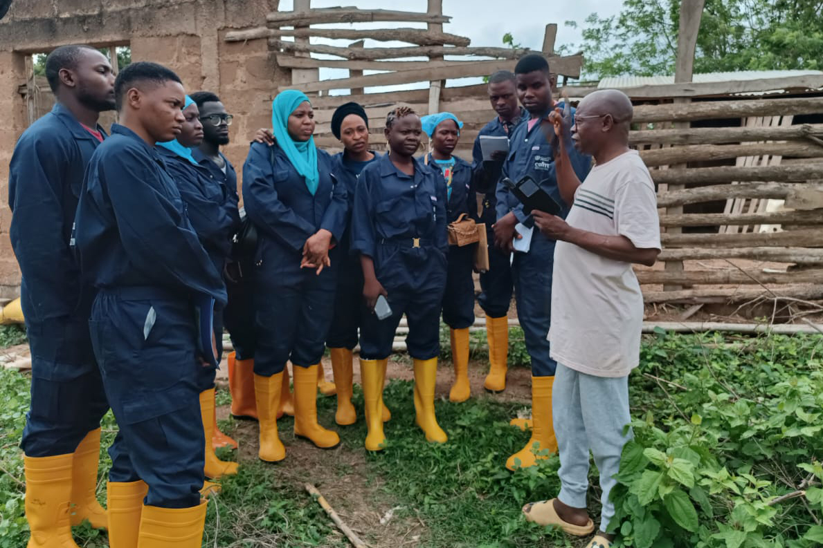 VPP training VPP training