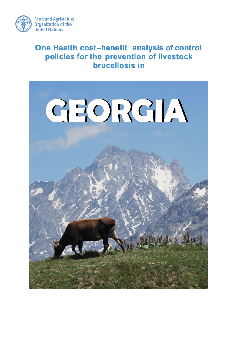 One Health cost–benefit analysis of control policies for the prevention of livestock brucellosis in Georgia