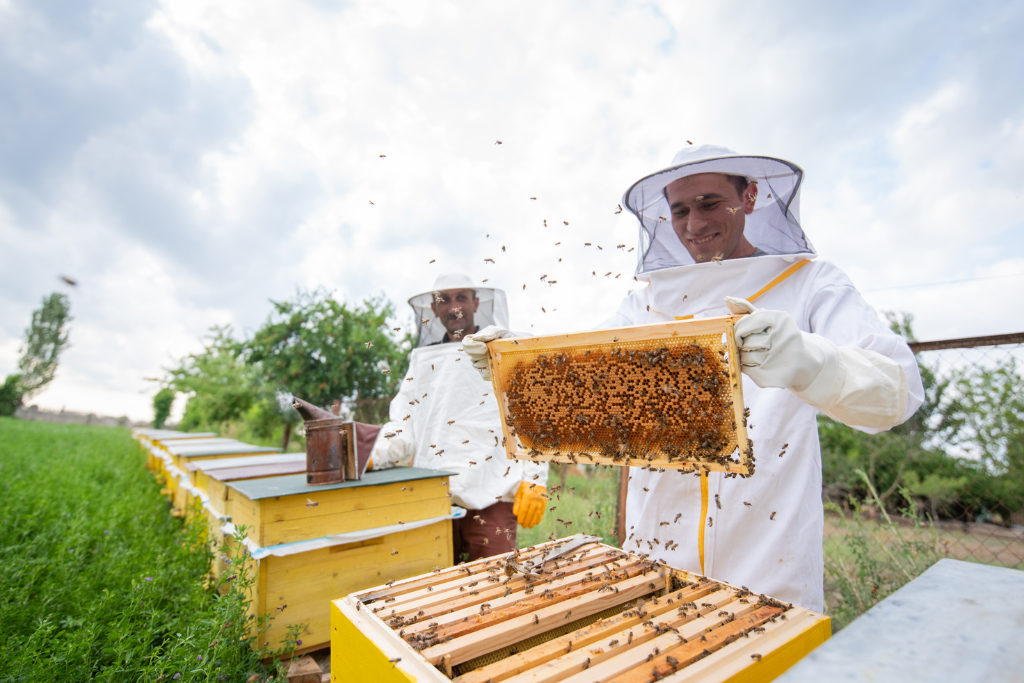 Buzzing futures: Forming Azerbaijan’s next generation of beekeepers