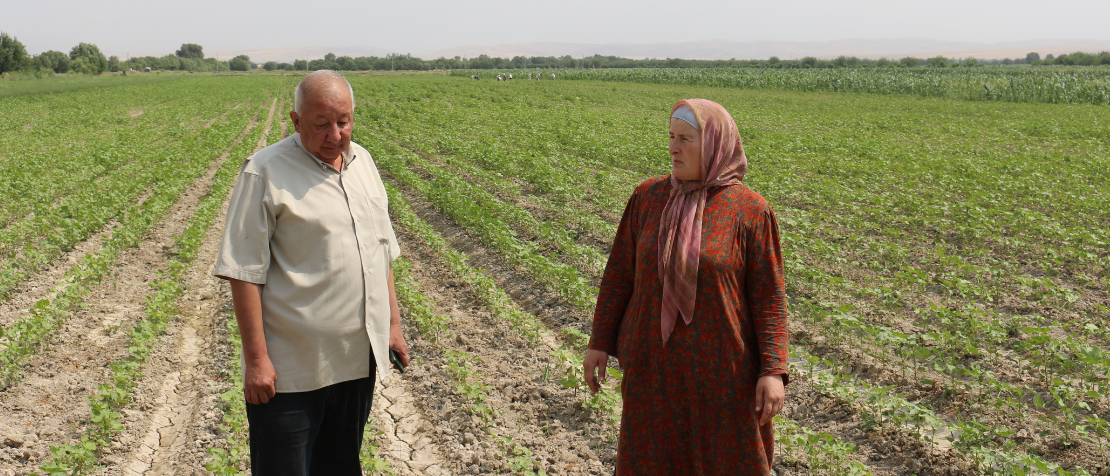 Breaking barriers and cultivating change