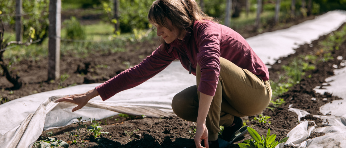 FAO envisions a sustainable agricultural sector in Europe and Central Asia