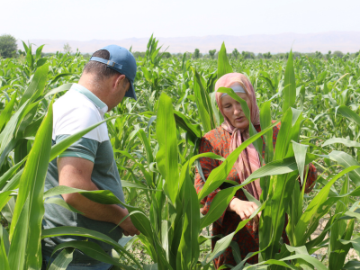 Breaking barriers and cultivating change
