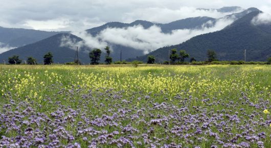 Managing natural resources sustainably and preserving biodiversity in a changing climate