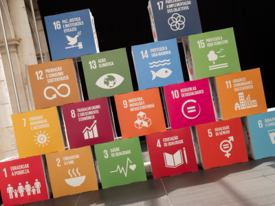 Peer-to-peer learning helps municipalities to localize the Sustainable Development Goals