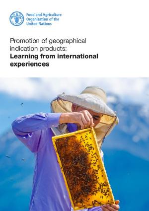Promotion_GI_cc9565en.pdf