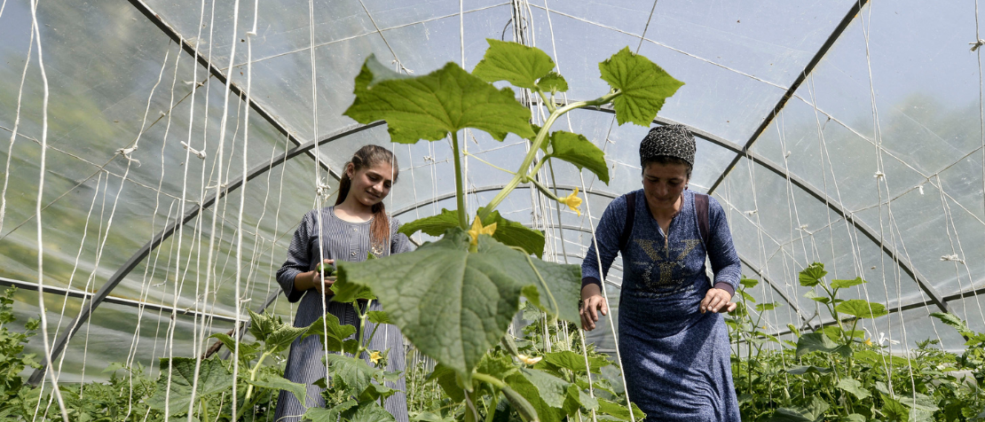 Regional workshop in Bishkek promotes uptake of climate-smart agricultural practices