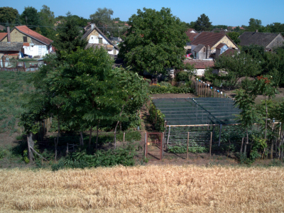 Serbia strengthens national expertise in carbon accounting for agrifood systems