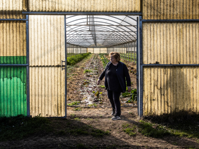 Standing the test: Five countries see proof of IPM success at FAO workshop