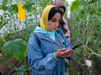 Tajikistan adopts programme for the digitalization of the agricultural sector with FAO support