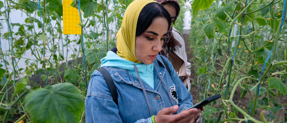 Tajikistan adopts programme for the digitalization of the agricultural sector with FAO support