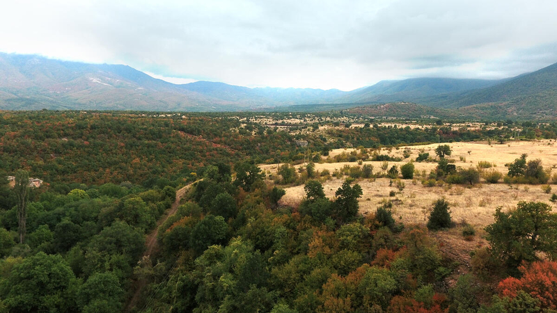 Enhanced forest fire management will bolster North Macedonia’s climate resilience