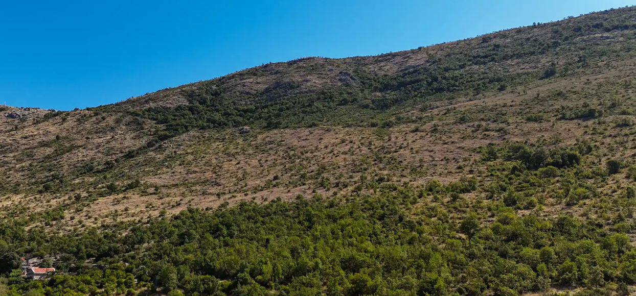 Collaboration is key to successful land management in Bosnia and Herzegovina