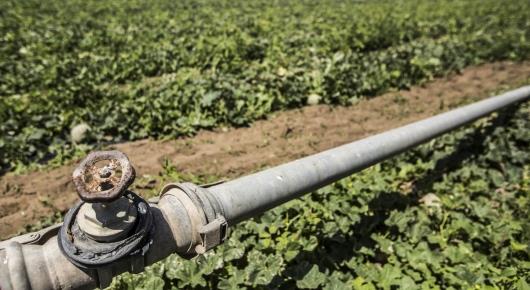 Берлинский форум рассматривает вопросы значения воды для продовольственного обеспечения в будущем