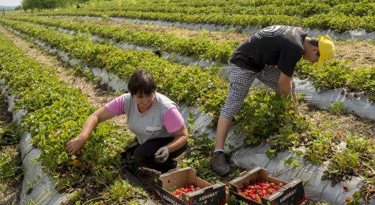 Two new projects to give a boost to rural areas in Moldova