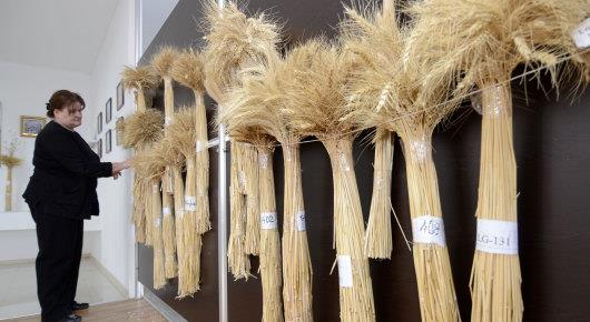 Georgia takes aim at counterfeit crop seed material