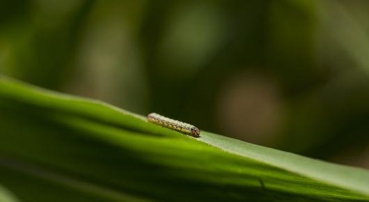 PO_UNDP__LKA_20190226_0030_cropped