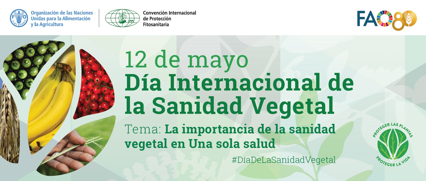 Día Internacional de la Sanidad Vegetal