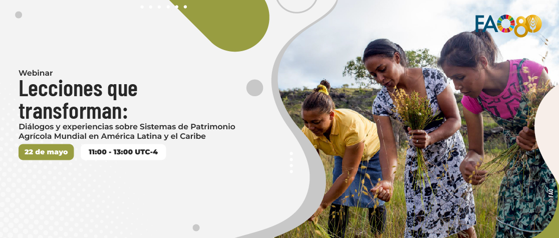 Lecciones que transforman: diálogos y experiencias sobre Sistemas de Patrimonio Agrícola Mundial en América Latina