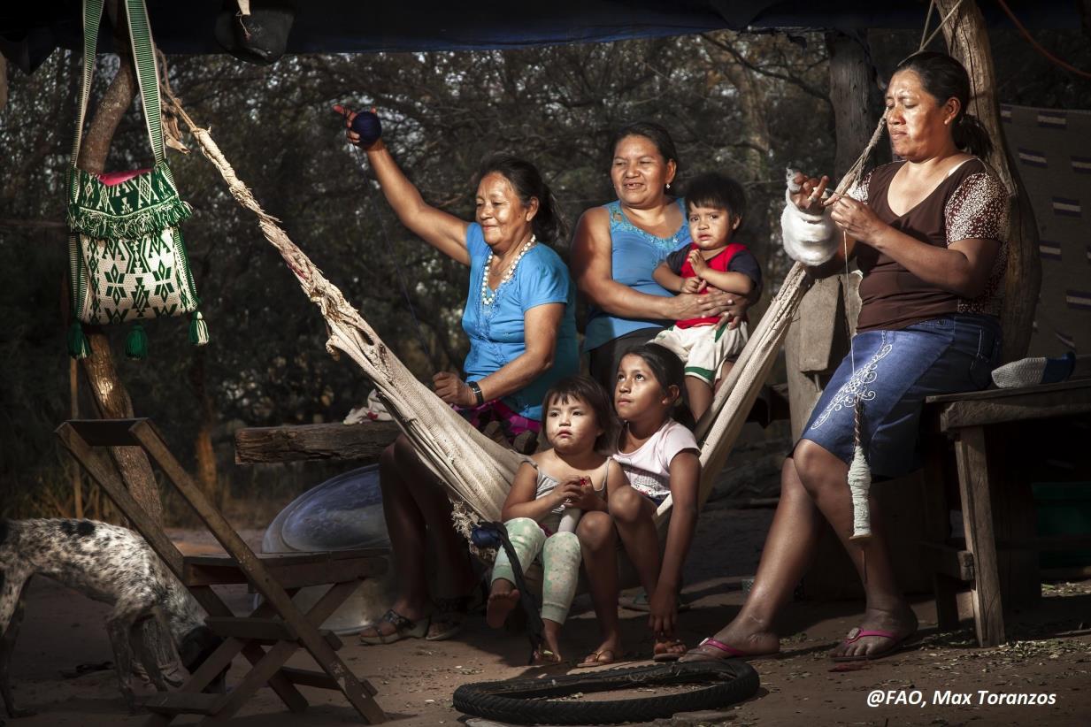 FAO y Brasil realizan primera encuesta regional sobre las mujeres rurales artesanas de la cadena algodonera