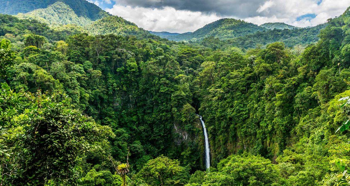 Forest loss slows in South America, protected areas rise
