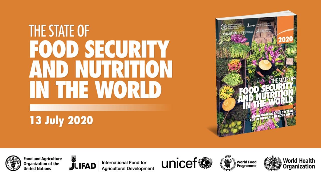 UN: Hunger in Latin America and the Caribbean could rise to almost 67 million people by 2030