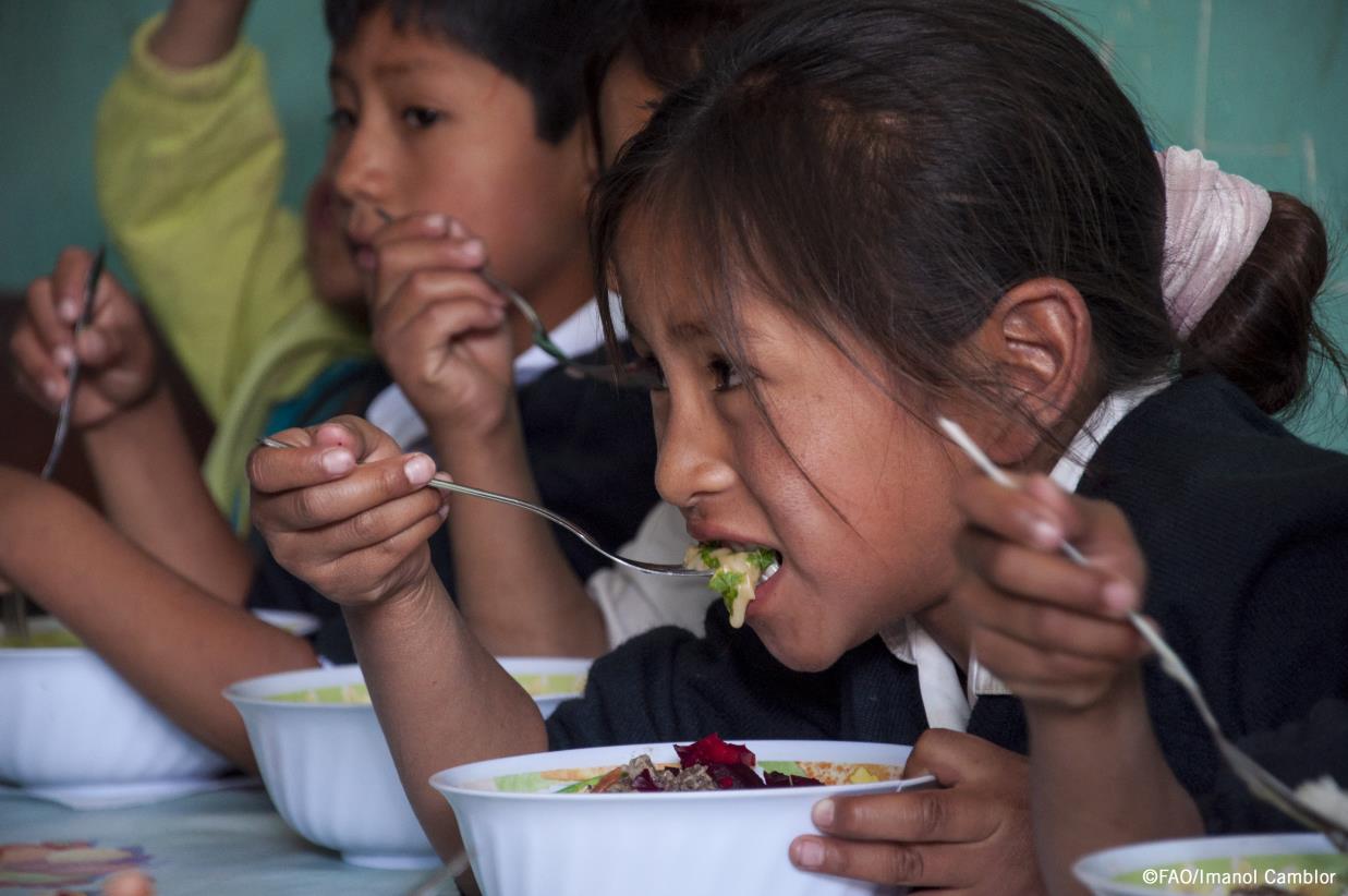Peru will train education professionals on healthy school environments with support from the Brazilian government and FAO