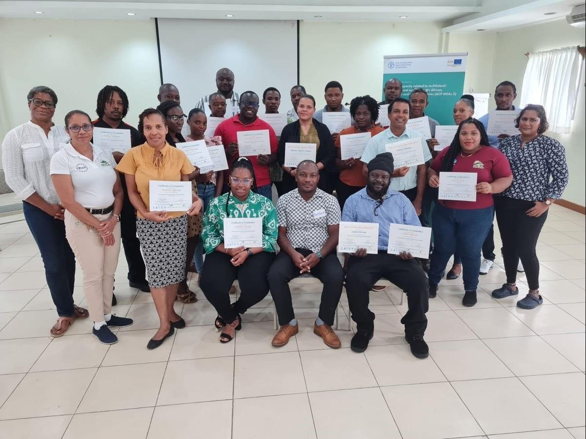 Extension Officers across the Caribbean trained in Farmer Field School