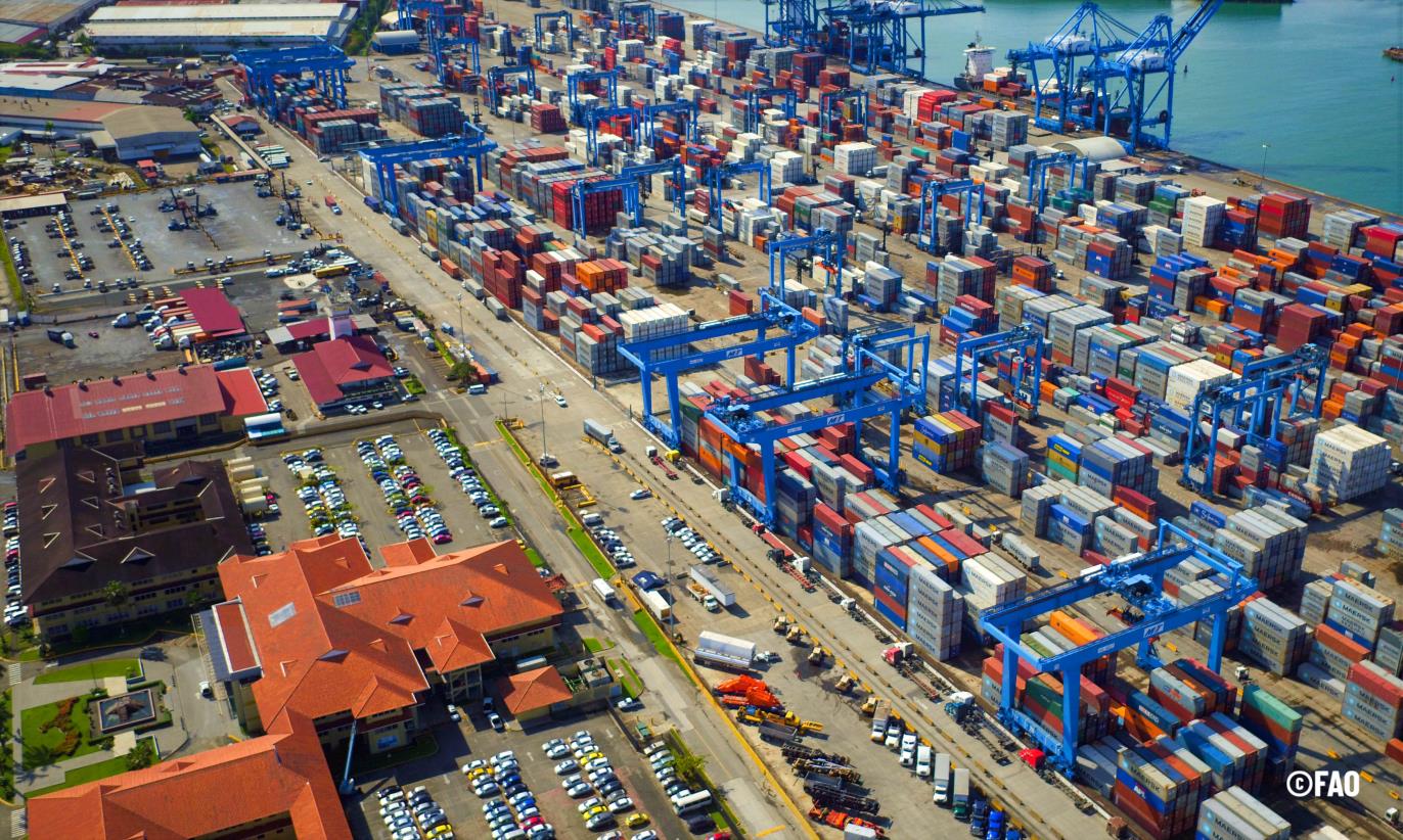 US$25.9 million in business intentions generated by 584 SMEs from Latin America and the Caribbean