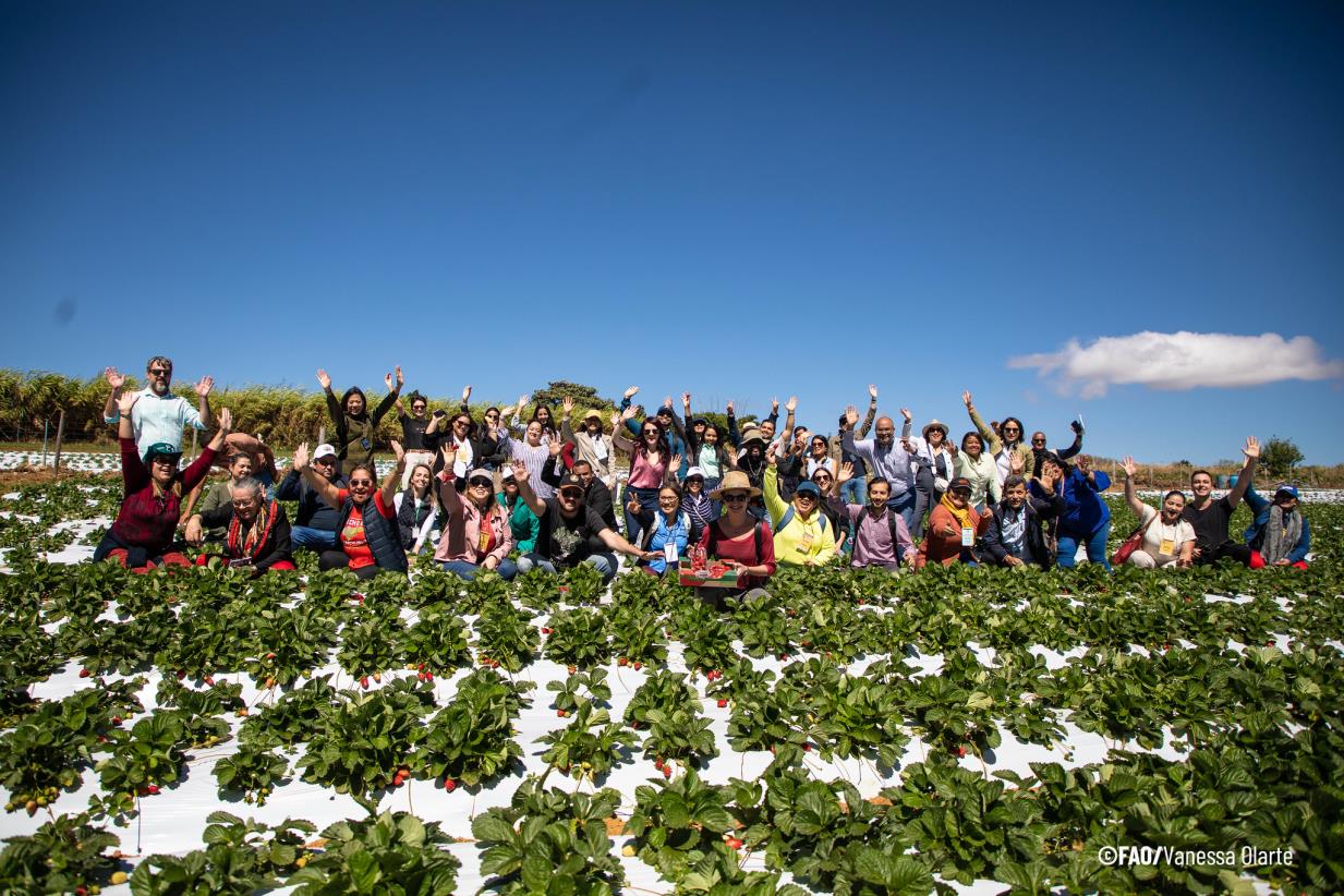 12 Latin American countries discussed the next steps of network actions towards sustainable school feeding in the region