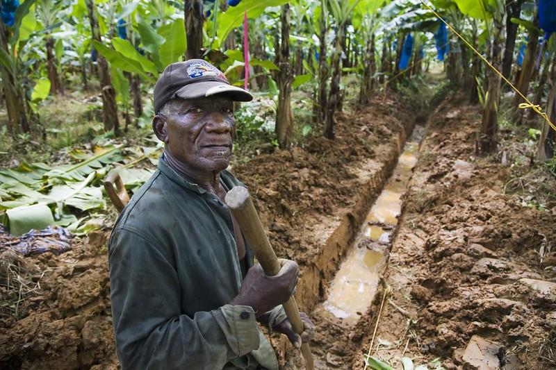 FAO and CARICOM launch a virtual course on Trade, Food Security, and Nutrition