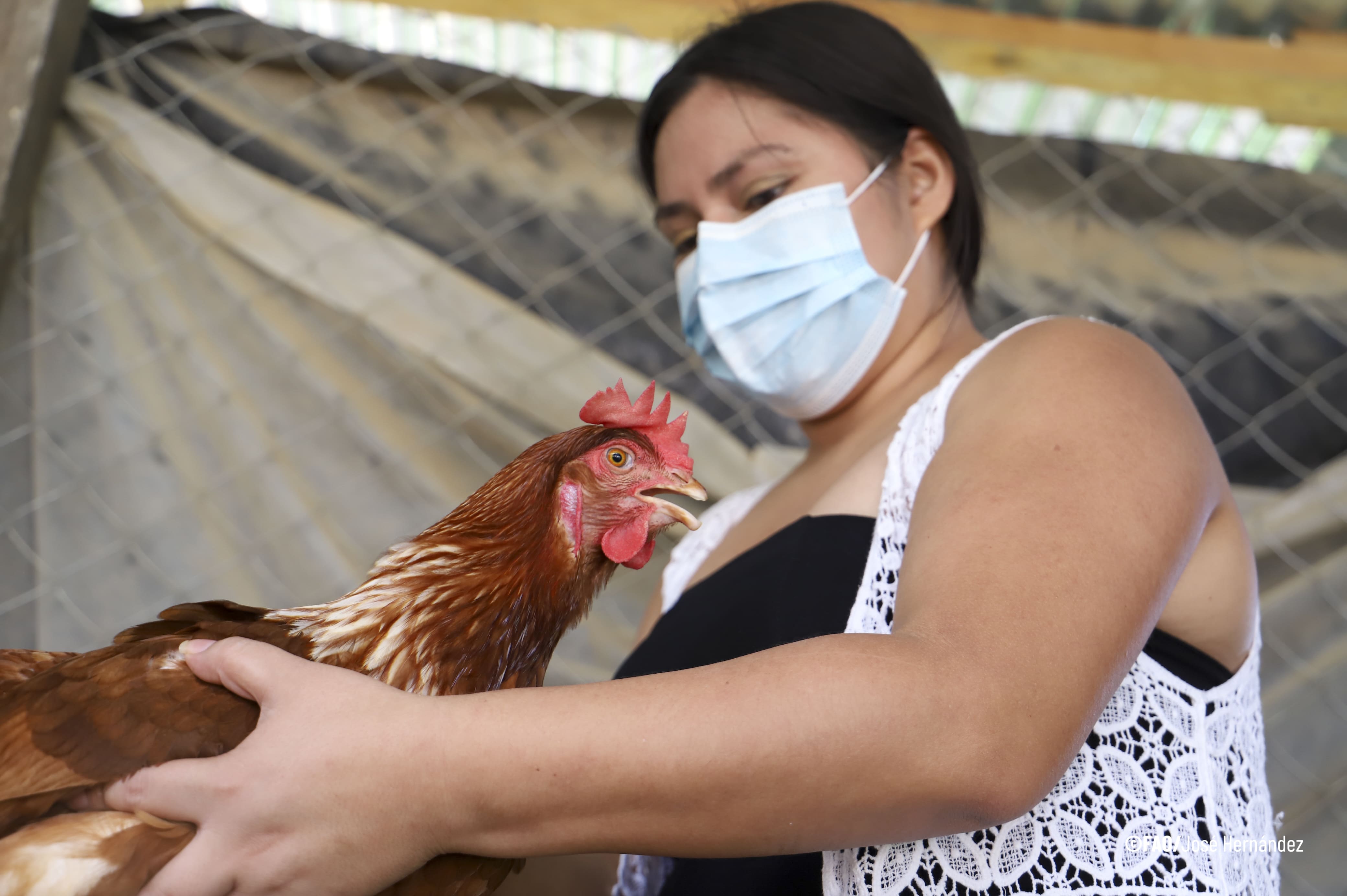 ACTúa ahora: FAO publica acciones prácticas para combatir la Resistencia a los Antimicrobianos (RAM)