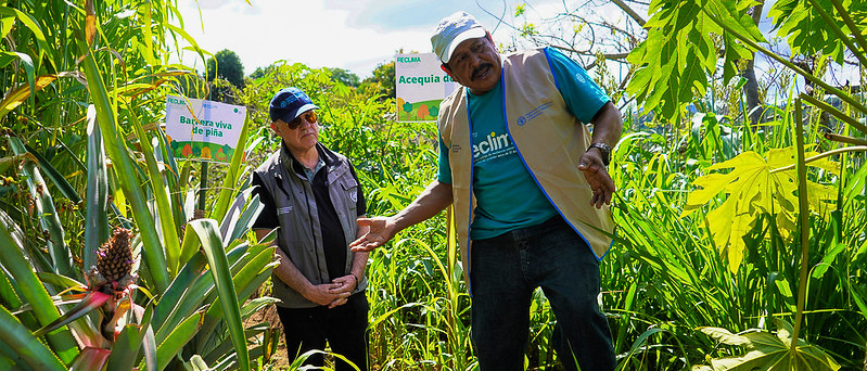 La FAO fortalece su cooperación técnica en países de Centroamérica