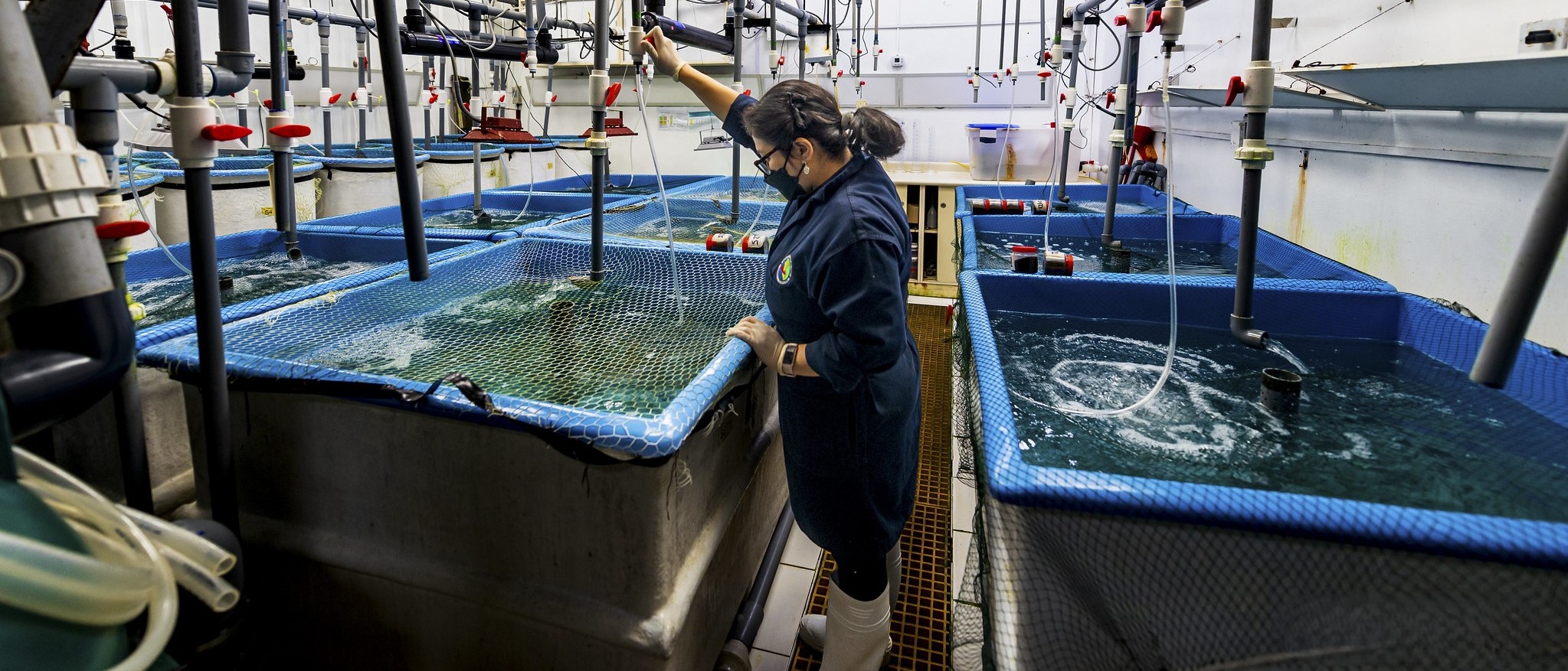 La FAO resaltó la importancia de la transformación azul en la pesca y acuicultura durante el International Fish Congress en Brasil