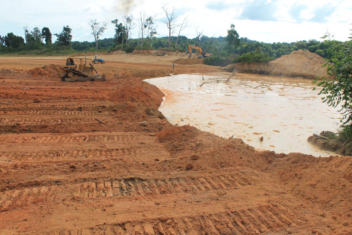 Focus on land restoration, sustainable use for post COVID-19 recovery as Desertification and Drought Day 2021 is observed