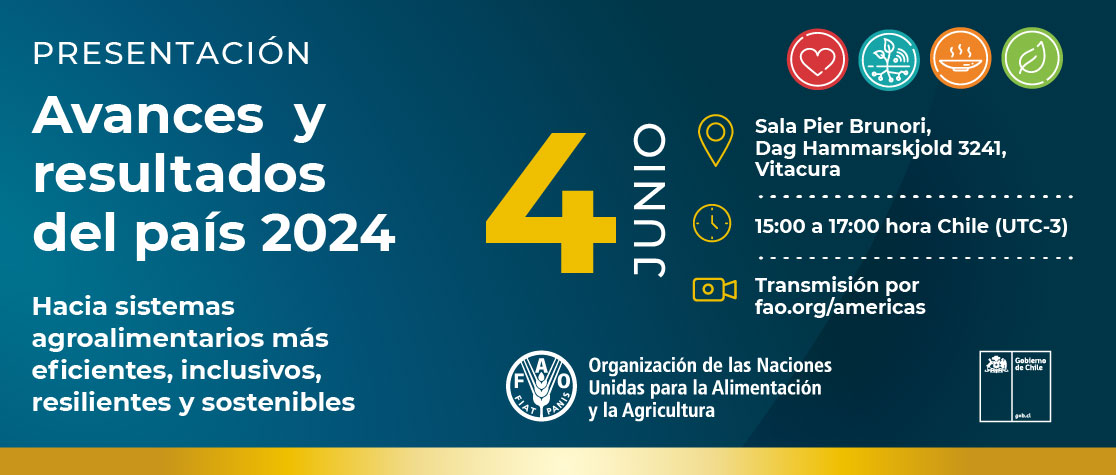 Presentación avances y resultados de Chile 2024