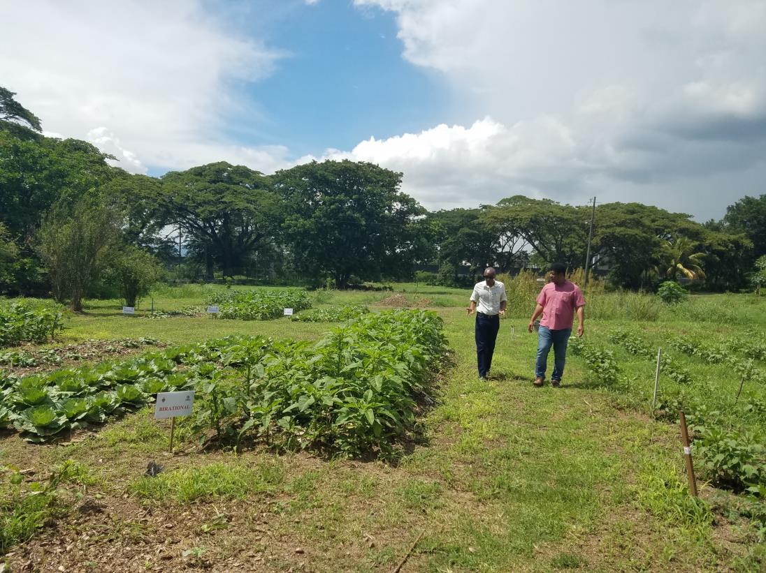 13th Virtual Meeting of the Caribbean Group of Pesticide Control Boards