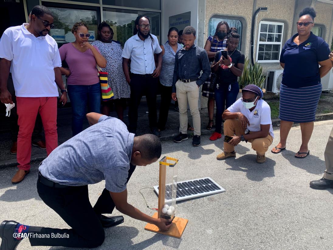 Mexico-FAO-CARICOM Resilient Caribbean Initiative builds capacity of Barbadian farmers to utilise renewable energy technologies in agricultural production