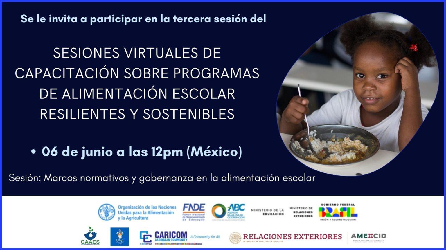 Governance, policy and regulatory frameworks for school feeding programmes are the subjects of a virtual session with Caribbean countries