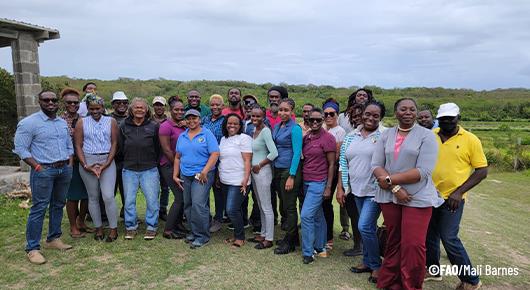 Antiguan farmers benefit from FAO Resilient Caribbean Initiative training