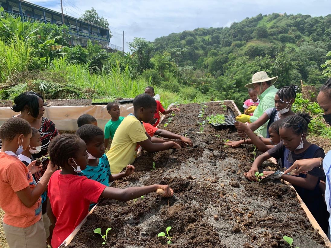 Six Primary Schools in St. Vincent and the Grenadines get new vegetable gardens in support of the National School Feeding Programme