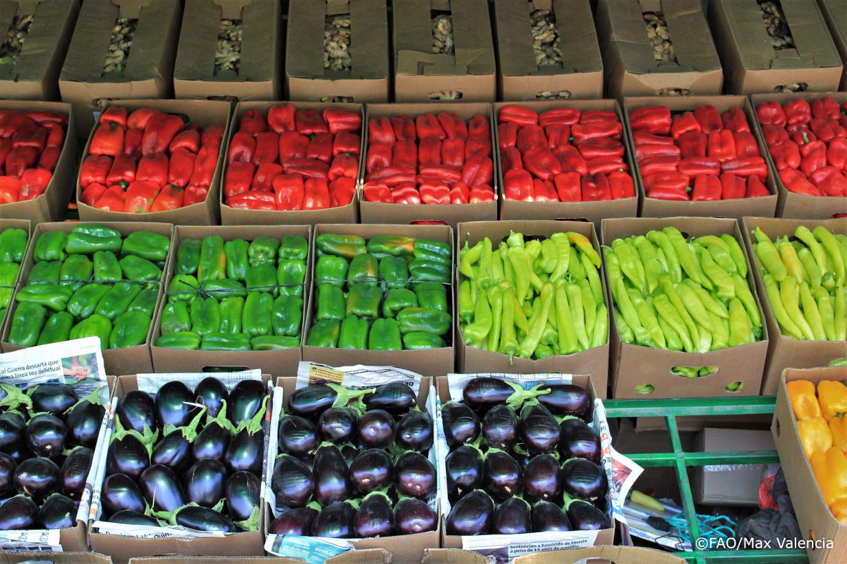 FAO and PAHO / WHO hold the second edition of the International Workshop on Fruits and Vegetables