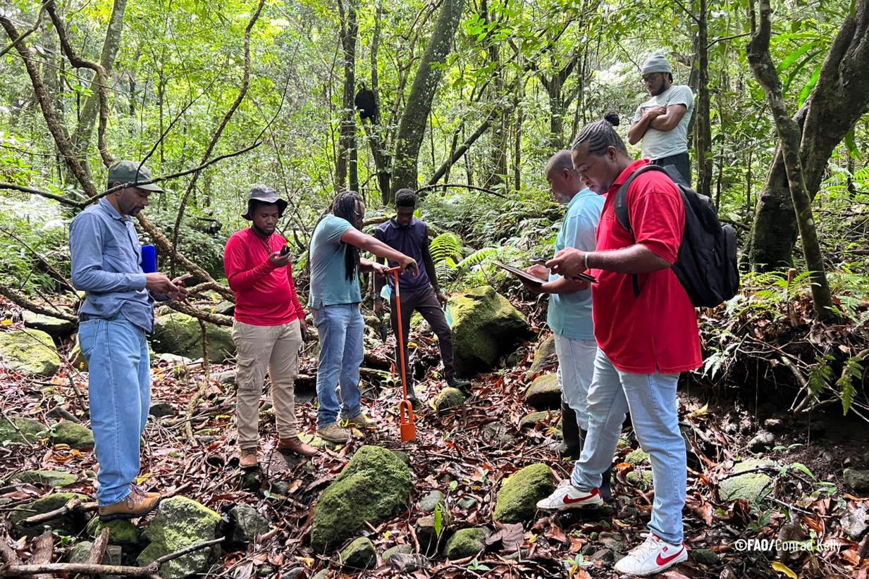 Validation of potential rainwater harvesting sites on St. Kitts and Nevis will improve access to water